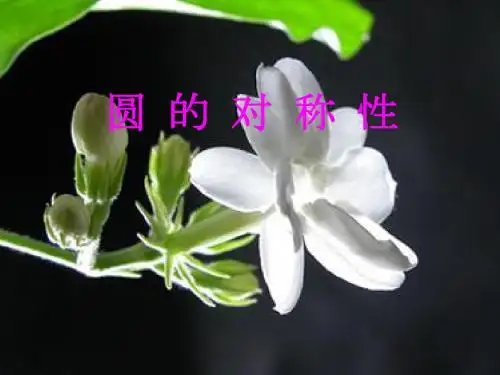 九年级数学上册 垂径定理课件 人教新课标版