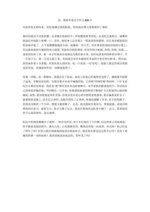 念,我的年度汉字作文800字正式版