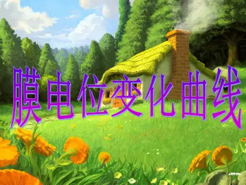 18.膜电位变化曲线
