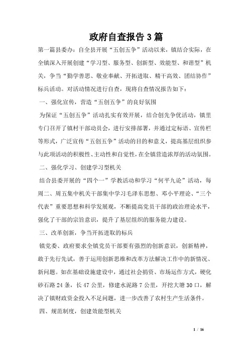 政府自查报告3篇
