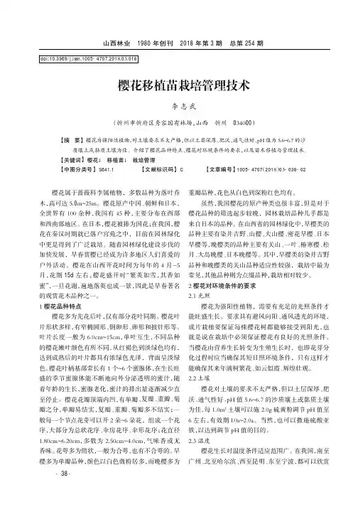 樱花移植苗栽培管理技术