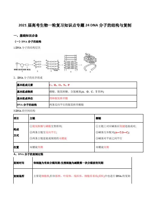 2021届高考生物一轮复习知识点专题24 DNA分子的结构与复制【含解析】