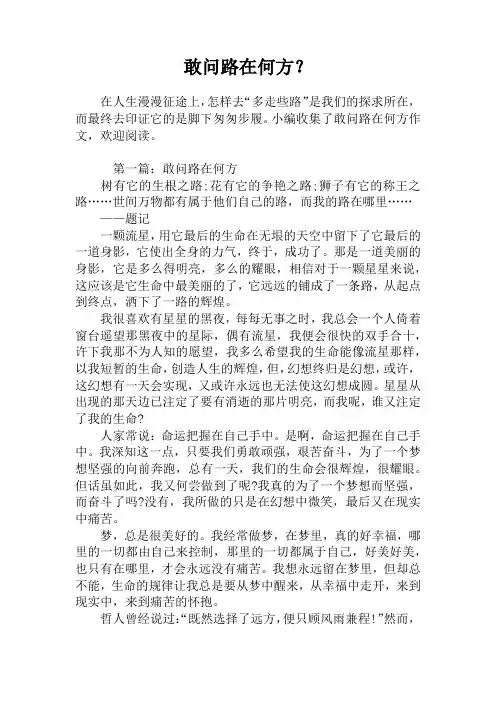 敢问路在何方？