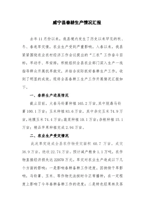 春耕生产情况汇报.doc