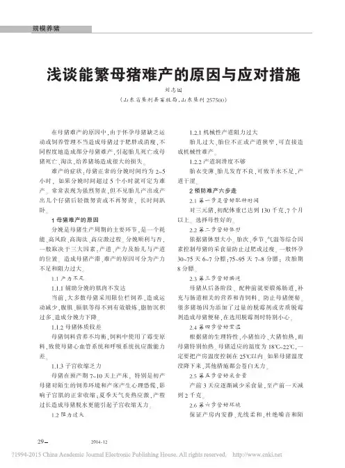 浅谈能繁母猪难产的原因与应对措施