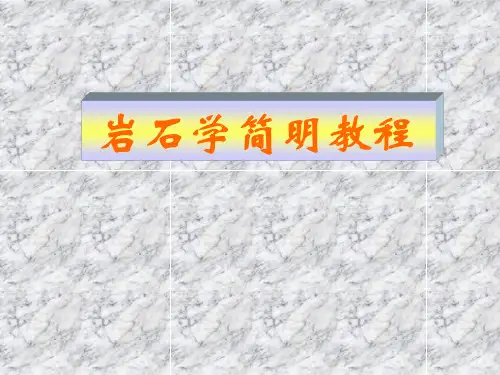 岩石学简明教程