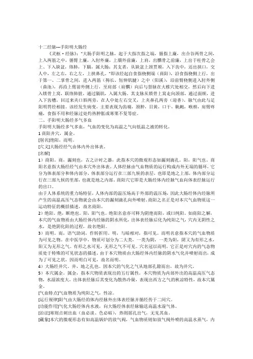 手阳明大肠经 2