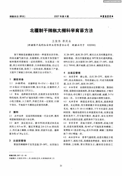 北疆制干辣椒大棚科学育苗方法