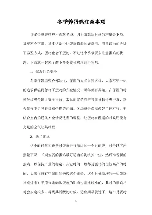 冬季养蛋鸡注意事项