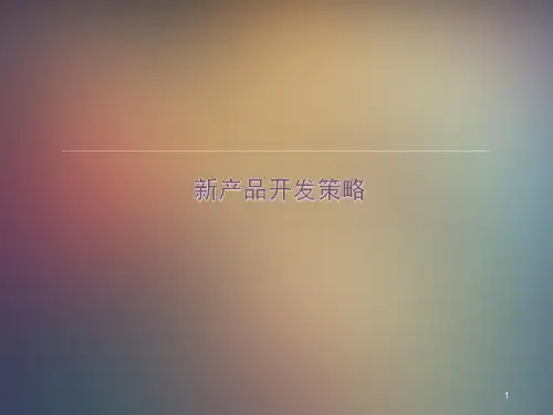 新产品开发策略PPT课件