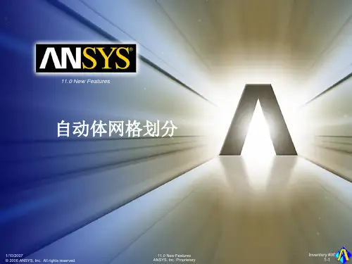 自动体网格生成