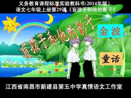 最新人教版语文九年级上册第29课《 盲孩子和他的影子》PPT课件
