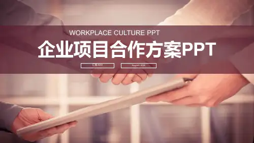 企业项目合作方案PPT模板