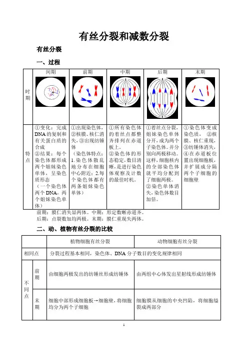 高中生物必修二有丝分裂_减数分裂总结知识点