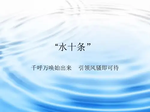 水十条