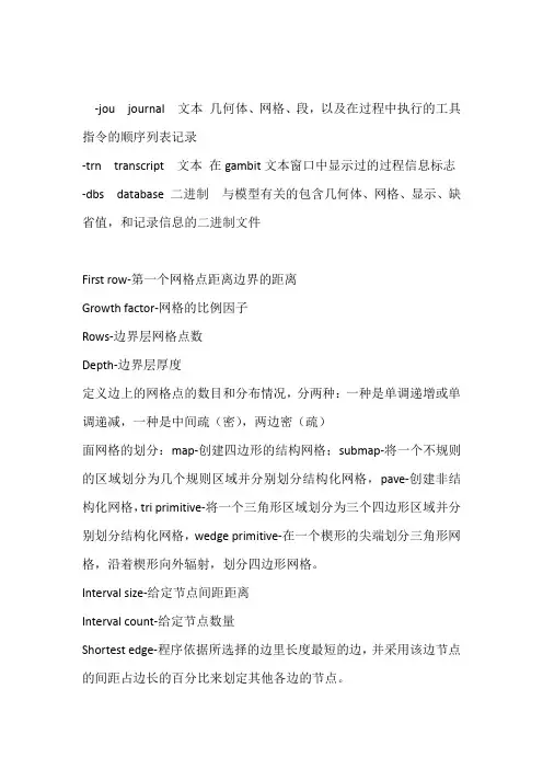GAMBIT简单命令