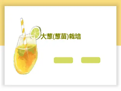 大葱(葱苗)栽培36页PPT