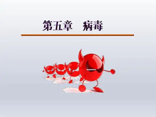 《病毒》八年级生物上