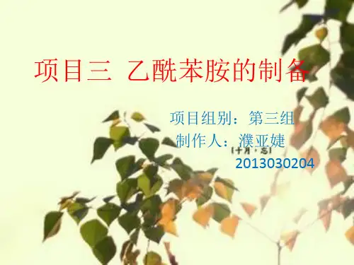 乙酰苯胺的制备PPT课件