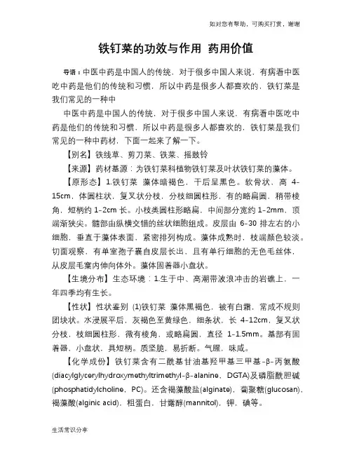 铁钉菜的功效与作用 药用价值