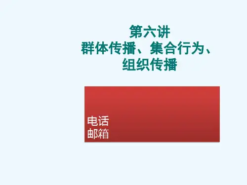 第六讲群体传播、集合行为、组织传播