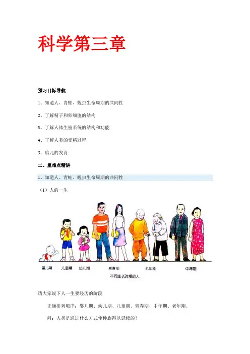 科学七年级下册第三章