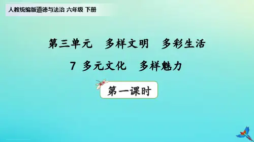 【部编版道德与法治】第三单元多样文明多彩生活PPT3