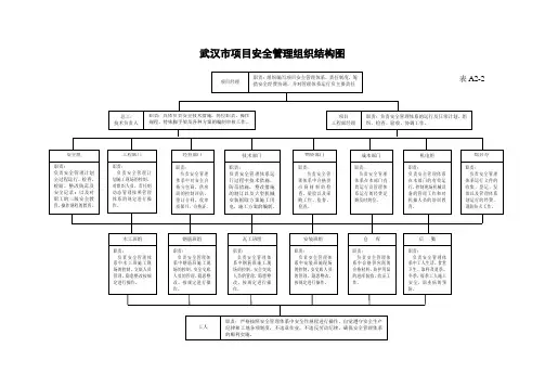武汉市项目安全管理组织结构图项目安全管理组织结构图