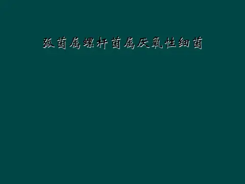 弧菌属螺杆菌属厌氧性细菌