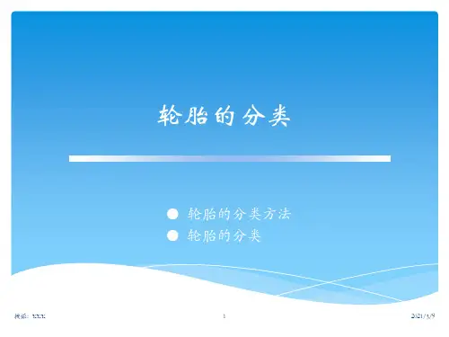 轮胎的基本分类PPT课件