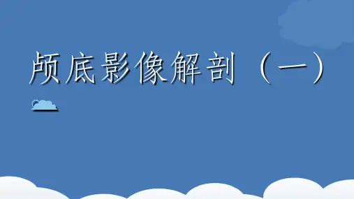 颅底影像解剖ppt课件