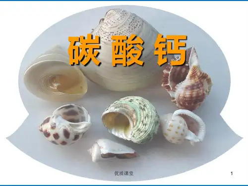46碳酸钙[优质课堂]