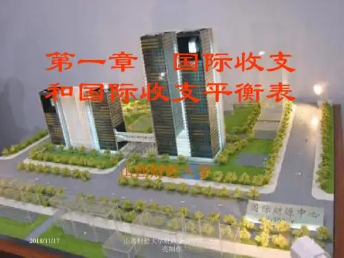 国际收支及国际收支平衡表 (3)讲诉