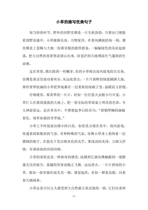 小草的描写优美句子