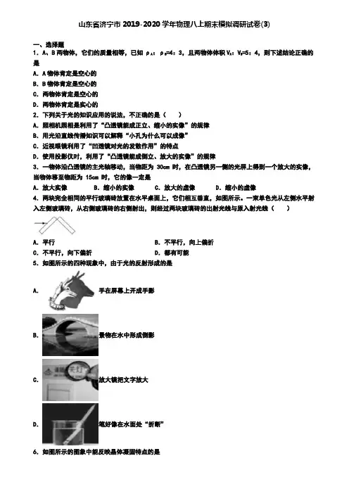 山东省济宁市2019-2020学年物理八上期末模拟调研试卷(3)