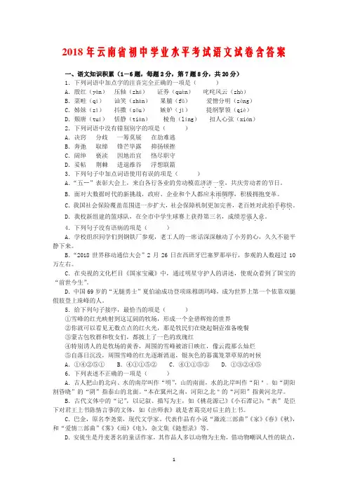 2018年云南省初中学业水平考试语文试卷含答案