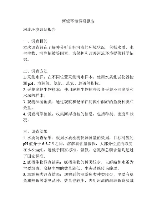 河流环境调研报告