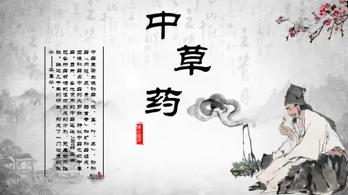 中草药PPT课件