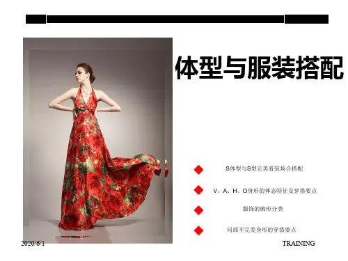体型与服装搭配