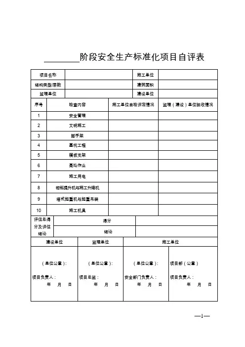 阶段安全生产标准化项目自评表