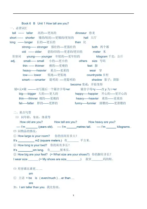 新版人教版六年级英语下册知识点总结复习资料 2