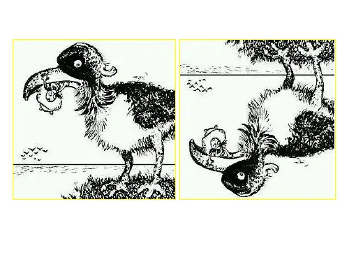 语文 版八年级下册语文 8. 换个角度看问题
