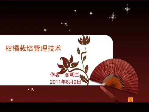 柑橘种植技术
