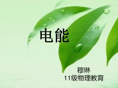电能