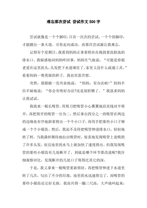 难忘那次尝试 尝试作文500字