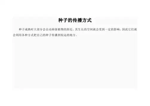 种子的传播方式