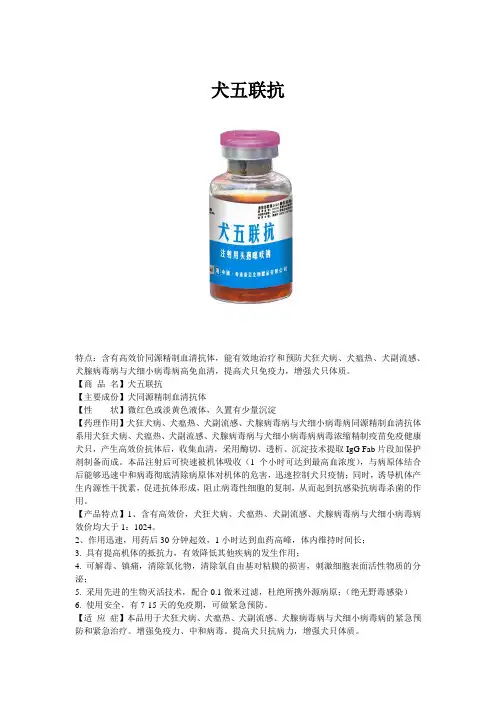 犬五联抗