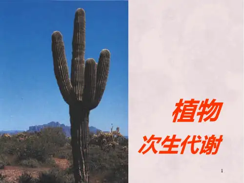 植物次生代谢课件