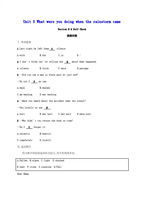 八年级英语下册Unit5Whatwereyoudoingwhentherainstormcame人教新目标版