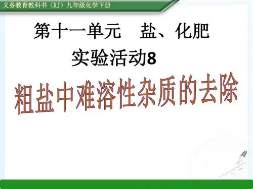 实验活动8粗盐中难溶性杂质的去除ppt.